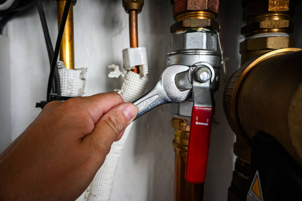 Best Clogged Drain Plumber  in Parsons, WV
